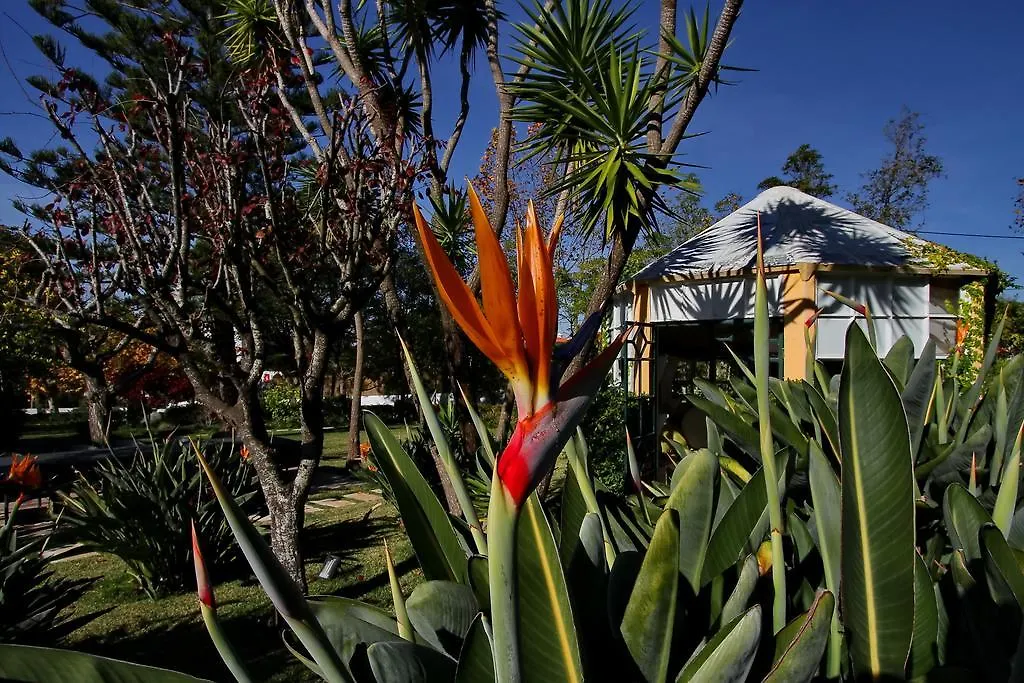 Guest house Villa Das Rosas Sintra